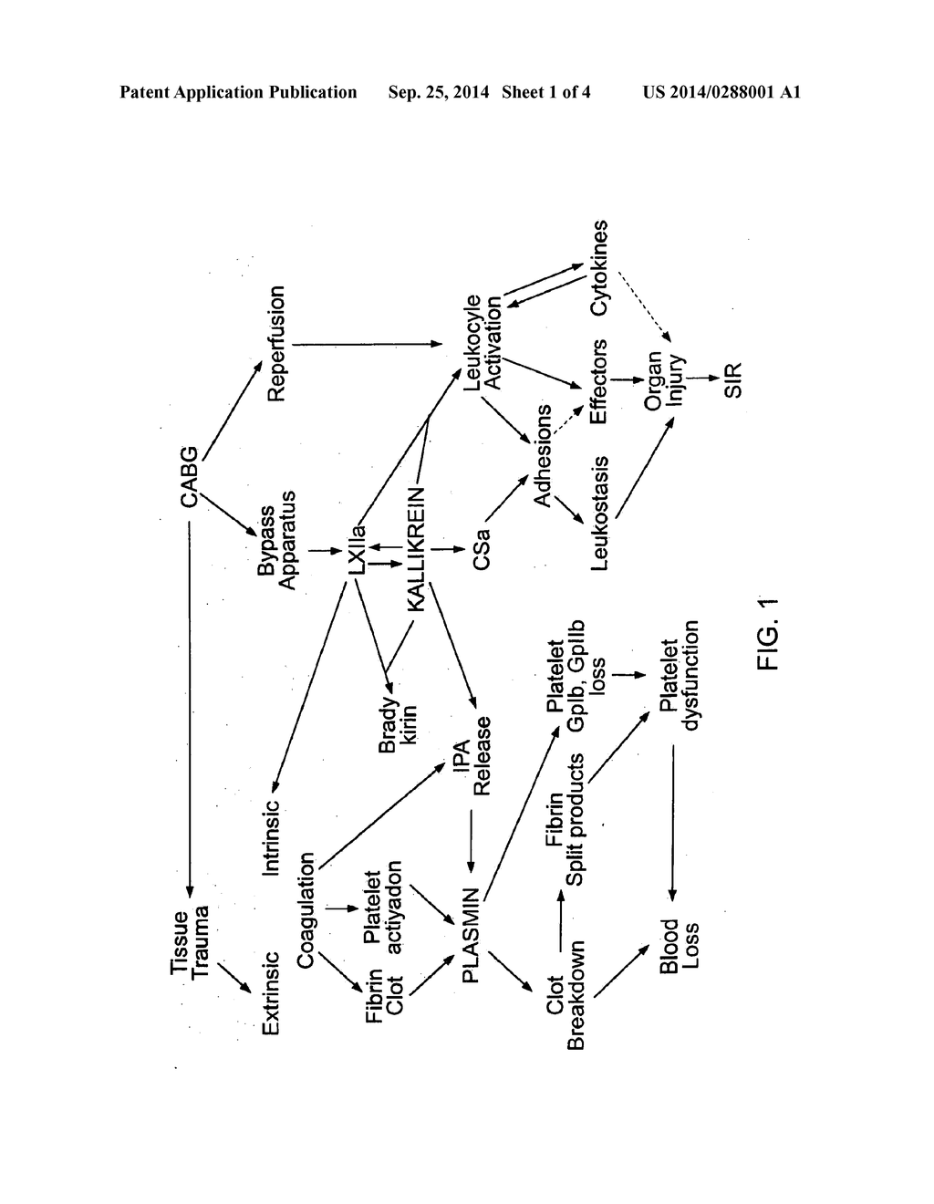 KALLIKREIN INHIBITORS AND ANTI-THROMBOLYTIC AGENTS AND USES THEREOF - diagram, schematic, and image 02