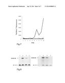 COMPOUND FOR TREATMENT OF ALZHEIMER S DISEASE AND FAMILIAL DEMENTIA diagram and image