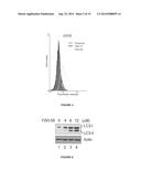 THERAPEUTIC COMPOSITIONS AND METHODS diagram and image