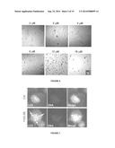 THERAPEUTIC COMPOSITIONS AND METHODS diagram and image