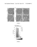 THERAPEUTIC COMPOSITIONS AND METHODS diagram and image