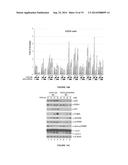 THERAPEUTIC COMPOSITIONS AND METHODS diagram and image