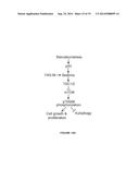 THERAPEUTIC COMPOSITIONS AND METHODS diagram and image