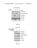 THERAPEUTIC COMPOSITIONS AND METHODS diagram and image