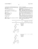 MORPHOLINO SUBSTITUTED BICYCLIC PYRIMIDINE UREA OR CARBAMATE DERIVATIVES     AS MTOR INHIBITORS diagram and image