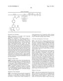 MORPHOLINO SUBSTITUTED BICYCLIC PYRIMIDINE UREA OR CARBAMATE DERIVATIVES     AS MTOR INHIBITORS diagram and image