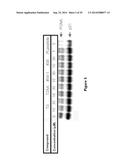 SUBSTITUTED 4-PHENOXYPHENOL ANALOGS AS MODULATORS OF PROLIFERATING CELL     NUCLEAR ANTIGEN ACTIVITY diagram and image