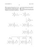 SUBSTITUTED 4-PHENOXYPHENOL ANALOGS AS MODULATORS OF PROLIFERATING CELL     NUCLEAR ANTIGEN ACTIVITY diagram and image