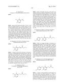 SUBSTITUTED 4-PHENOXYPHENOL ANALOGS AS MODULATORS OF PROLIFERATING CELL     NUCLEAR ANTIGEN ACTIVITY diagram and image