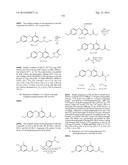 SUBSTITUTED 4-PHENOXYPHENOL ANALOGS AS MODULATORS OF PROLIFERATING CELL     NUCLEAR ANTIGEN ACTIVITY diagram and image