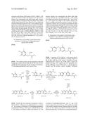 SUBSTITUTED 4-PHENOXYPHENOL ANALOGS AS MODULATORS OF PROLIFERATING CELL     NUCLEAR ANTIGEN ACTIVITY diagram and image