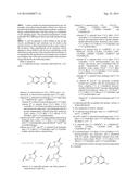 SUBSTITUTED 4-PHENOXYPHENOL ANALOGS AS MODULATORS OF PROLIFERATING CELL     NUCLEAR ANTIGEN ACTIVITY diagram and image