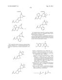 SUBSTITUTED 4-PHENOXYPHENOL ANALOGS AS MODULATORS OF PROLIFERATING CELL     NUCLEAR ANTIGEN ACTIVITY diagram and image