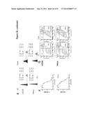 SUBSTITUTED 4-PHENOXYPHENOL ANALOGS AS MODULATORS OF PROLIFERATING CELL     NUCLEAR ANTIGEN ACTIVITY diagram and image