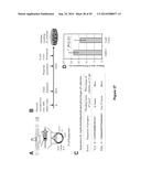 SUBSTITUTED 4-PHENOXYPHENOL ANALOGS AS MODULATORS OF PROLIFERATING CELL     NUCLEAR ANTIGEN ACTIVITY diagram and image