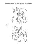 USE OF PHOSPHODIESTERASE INHIBITORS FOR TREATING MULTIDRUG RESISTANCE diagram and image