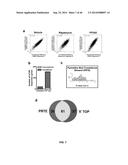 USE OF TRANSLATIONAL PROFILING TO IDENTIFY TARGET MOLECULES FOR     THERAPEUTIC TREATMENT diagram and image