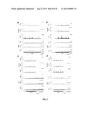 USE OF TRANSLATIONAL PROFILING TO IDENTIFY TARGET MOLECULES FOR     THERAPEUTIC TREATMENT diagram and image