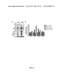 USE OF TRANSLATIONAL PROFILING TO IDENTIFY TARGET MOLECULES FOR     THERAPEUTIC TREATMENT diagram and image