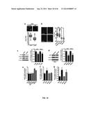 USE OF TRANSLATIONAL PROFILING TO IDENTIFY TARGET MOLECULES FOR     THERAPEUTIC TREATMENT diagram and image