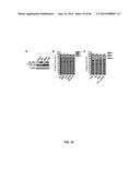 USE OF TRANSLATIONAL PROFILING TO IDENTIFY TARGET MOLECULES FOR     THERAPEUTIC TREATMENT diagram and image