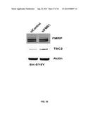 USE OF TRANSLATIONAL PROFILING TO IDENTIFY TARGET MOLECULES FOR     THERAPEUTIC TREATMENT diagram and image