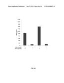 USE OF TRANSLATIONAL PROFILING TO IDENTIFY TARGET MOLECULES FOR     THERAPEUTIC TREATMENT diagram and image