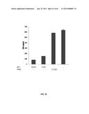 USE OF TRANSLATIONAL PROFILING TO IDENTIFY TARGET MOLECULES FOR     THERAPEUTIC TREATMENT diagram and image