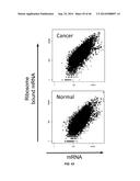 USE OF TRANSLATIONAL PROFILING TO IDENTIFY TARGET MOLECULES FOR     THERAPEUTIC TREATMENT diagram and image