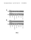 Bruton s Tyrosine Kinase As Anti-Cancer Drug Target diagram and image