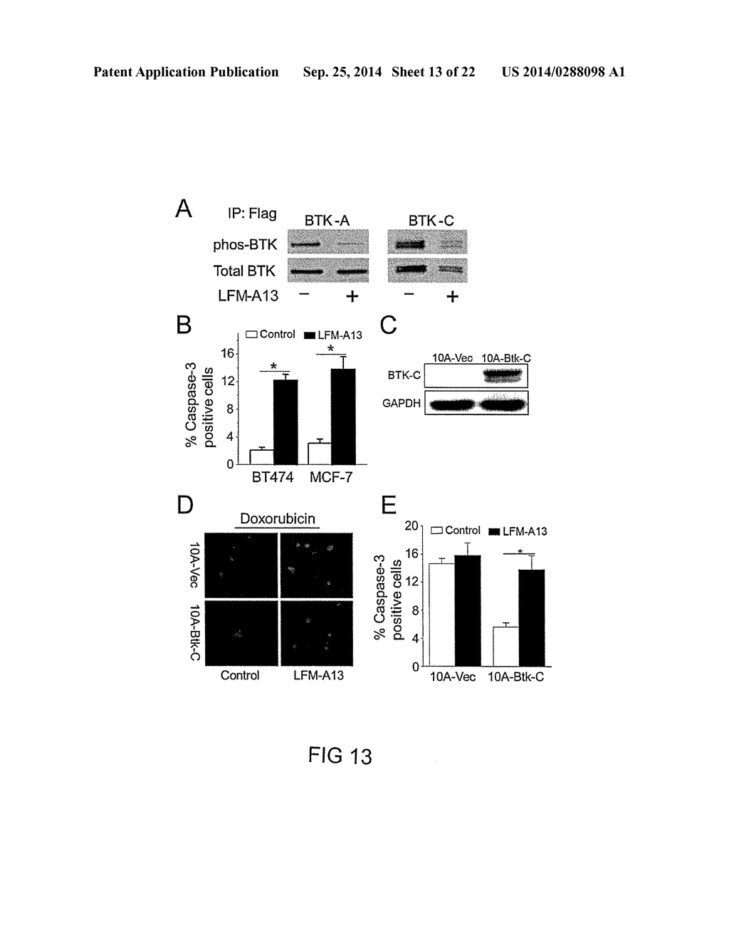 Bruton's Tyrosine Kinase As Anti-Cancer Drug Target - diagram, schematic, and image 14