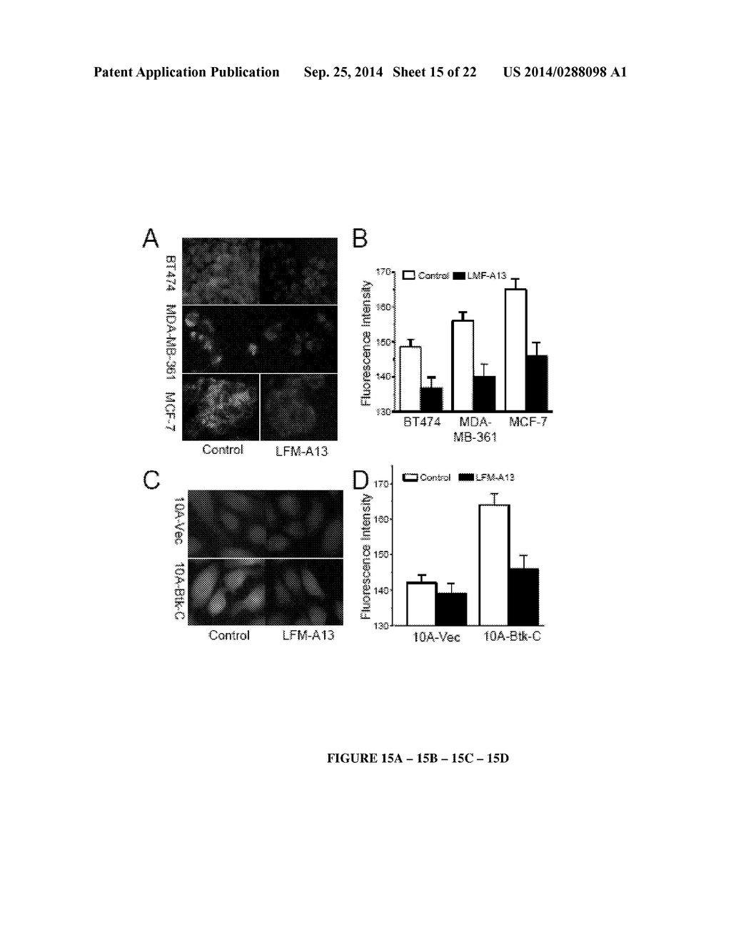 Bruton's Tyrosine Kinase As Anti-Cancer Drug Target - diagram, schematic, and image 16