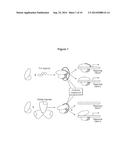 PPAR MODULATORS diagram and image