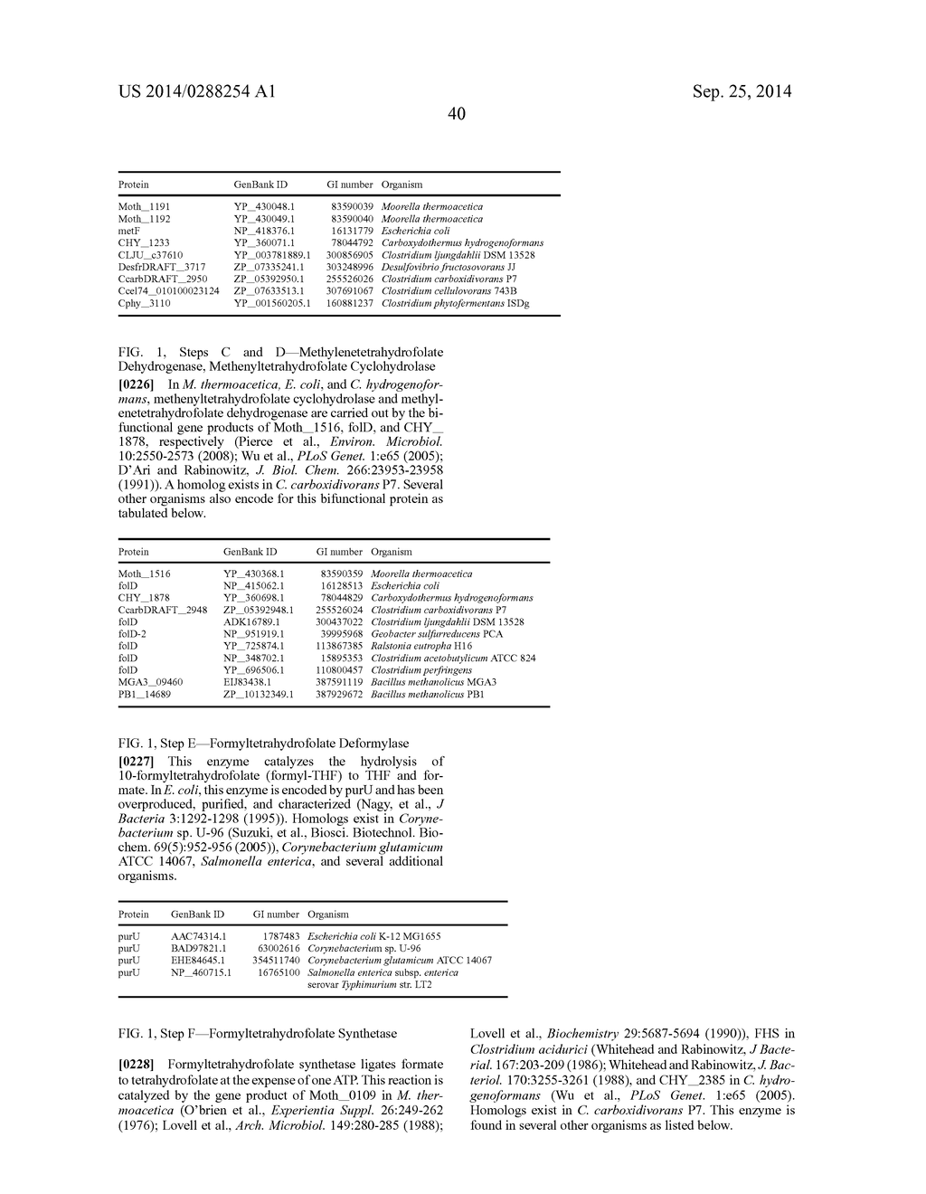 MICROORGANISMS AND METHODS FOR ENHANCING THE AVAILABILITY OF REDUCING     EQUIVALENTS IN THE PRESENCE OF METHANOL, AND FOR PRODUCING     3-HYDROXYISOBUTYRATE OR METHACRYLIC ACID RELATED THERETO - diagram, schematic, and image 45