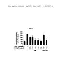 HUMAN MONOCLONAL ANTIBODY NEUTRALIZING VASCULAR ENDOTHELIAL GROWTH FACTOR     RECEPTOR AND USE THEREOF diagram and image