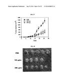 HUMAN MONOCLONAL ANTIBODY NEUTRALIZING VASCULAR ENDOTHELIAL GROWTH FACTOR     RECEPTOR AND USE THEREOF diagram and image