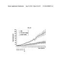 HUMAN MONOCLONAL ANTIBODY NEUTRALIZING VASCULAR ENDOTHELIAL GROWTH FACTOR     RECEPTOR AND USE THEREOF diagram and image