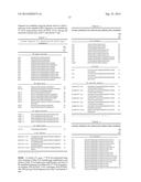 HUMAN MONOCLONAL ANTIBODY NEUTRALIZING VASCULAR ENDOTHELIAL GROWTH FACTOR     RECEPTOR AND USE THEREOF diagram and image