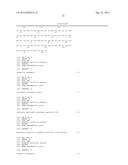 HUMAN MONOCLONAL ANTIBODY NEUTRALIZING VASCULAR ENDOTHELIAL GROWTH FACTOR     RECEPTOR AND USE THEREOF diagram and image