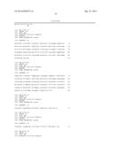 HUMAN MONOCLONAL ANTIBODY NEUTRALIZING VASCULAR ENDOTHELIAL GROWTH FACTOR     RECEPTOR AND USE THEREOF diagram and image