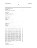 HUMAN MONOCLONAL ANTIBODY NEUTRALIZING VASCULAR ENDOTHELIAL GROWTH FACTOR     RECEPTOR AND USE THEREOF diagram and image