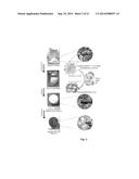 POLYSACCHARIDE DERIVED MATERIALS diagram and image