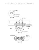 WEARABLE HEART RATE MONITOR diagram and image