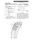 SHAPE-TRANSFERRING CANNULA SYSTEM AND METHOD OF USE diagram and image