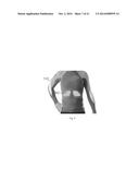 SUPPORTING AND PROTECTING ARTICLE FOR THE HUMAN TORSO diagram and image