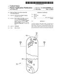 REPLACEABLE CLEANING PADS FOR CLEANING DEVICE diagram and image