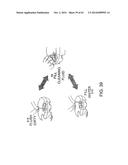 AUTONOMOUS SURFACE CLEANING ROBOT FOR WET AND  DRY CLEANING diagram and image