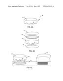 MULTI-LAYER TRAP SYSTEM FOR DISEASE PREVENTION diagram and image