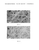 SURFACTANTLESS BIMETALLIC NANOSTRUCTURES AND METHOD FOR SYNTHESIZING SAME diagram and image