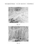 SURFACTANTLESS BIMETALLIC NANOSTRUCTURES AND METHOD FOR SYNTHESIZING SAME diagram and image